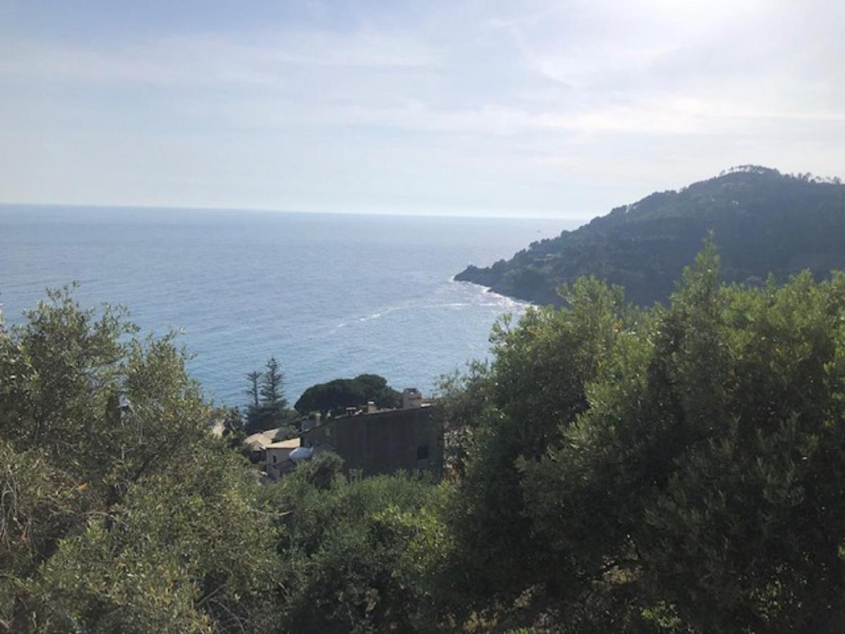 Casa Orchidea - Vista Mare Meravigliosa Bonassola Buitenkant foto