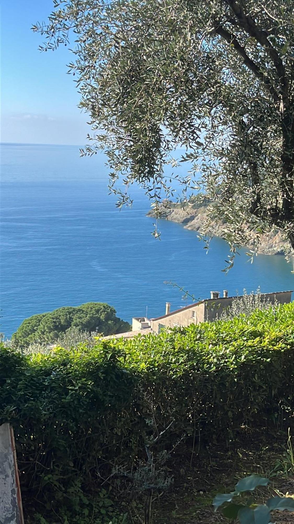 Casa Orchidea - Vista Mare Meravigliosa Bonassola Buitenkant foto