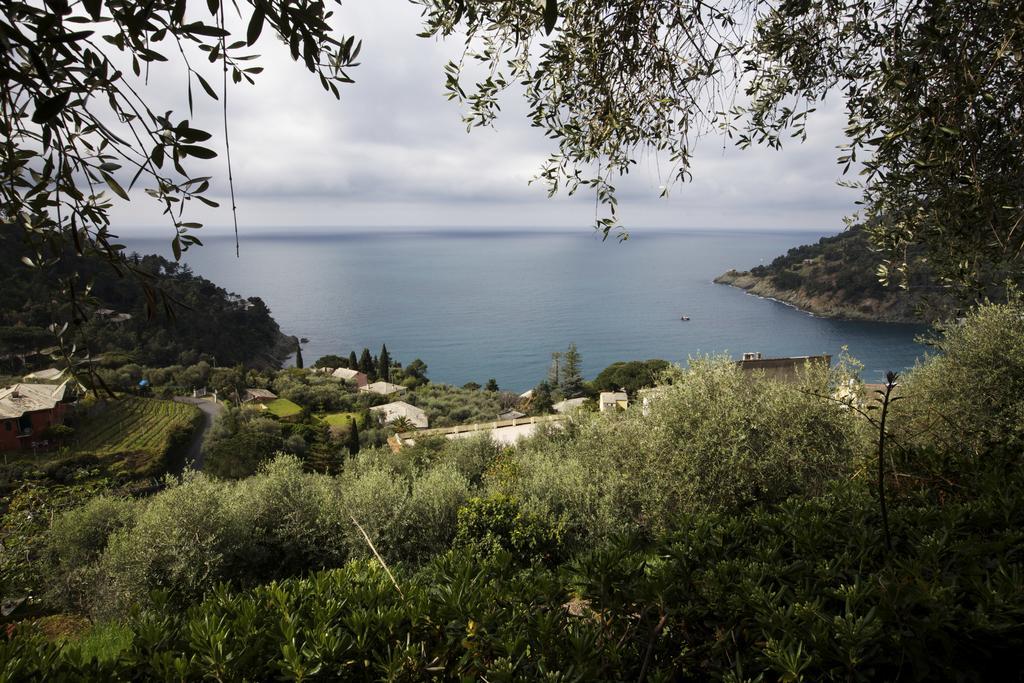 Casa Orchidea - Vista Mare Meravigliosa Bonassola Kamer foto